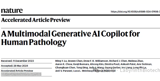 Applications of Multimodal Generative AI Assistants in Human Pathology